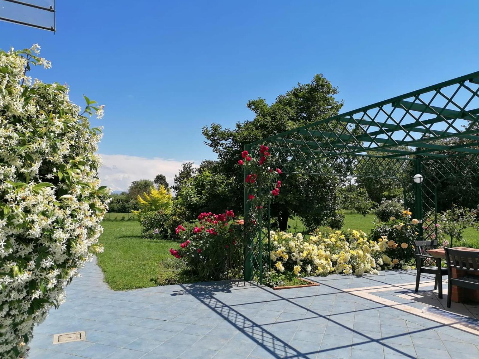 Versilia - Pietrasanta - Le Colmate Guesthouse Tonfano Esterno foto
