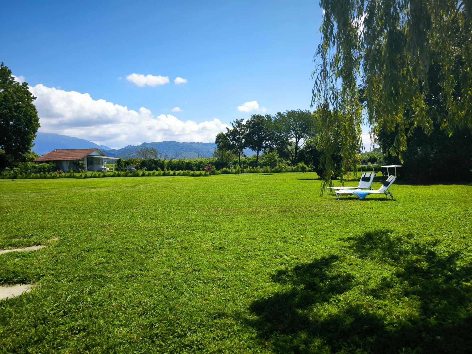 Versilia - Pietrasanta - Le Colmate Guesthouse Tonfano Esterno foto
