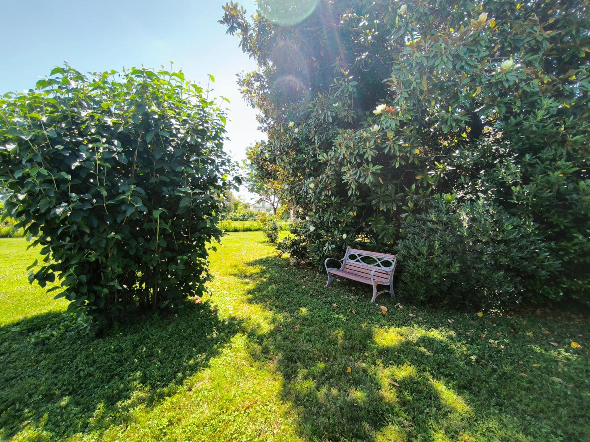 Versilia - Pietrasanta - Le Colmate Guesthouse Tonfano Esterno foto