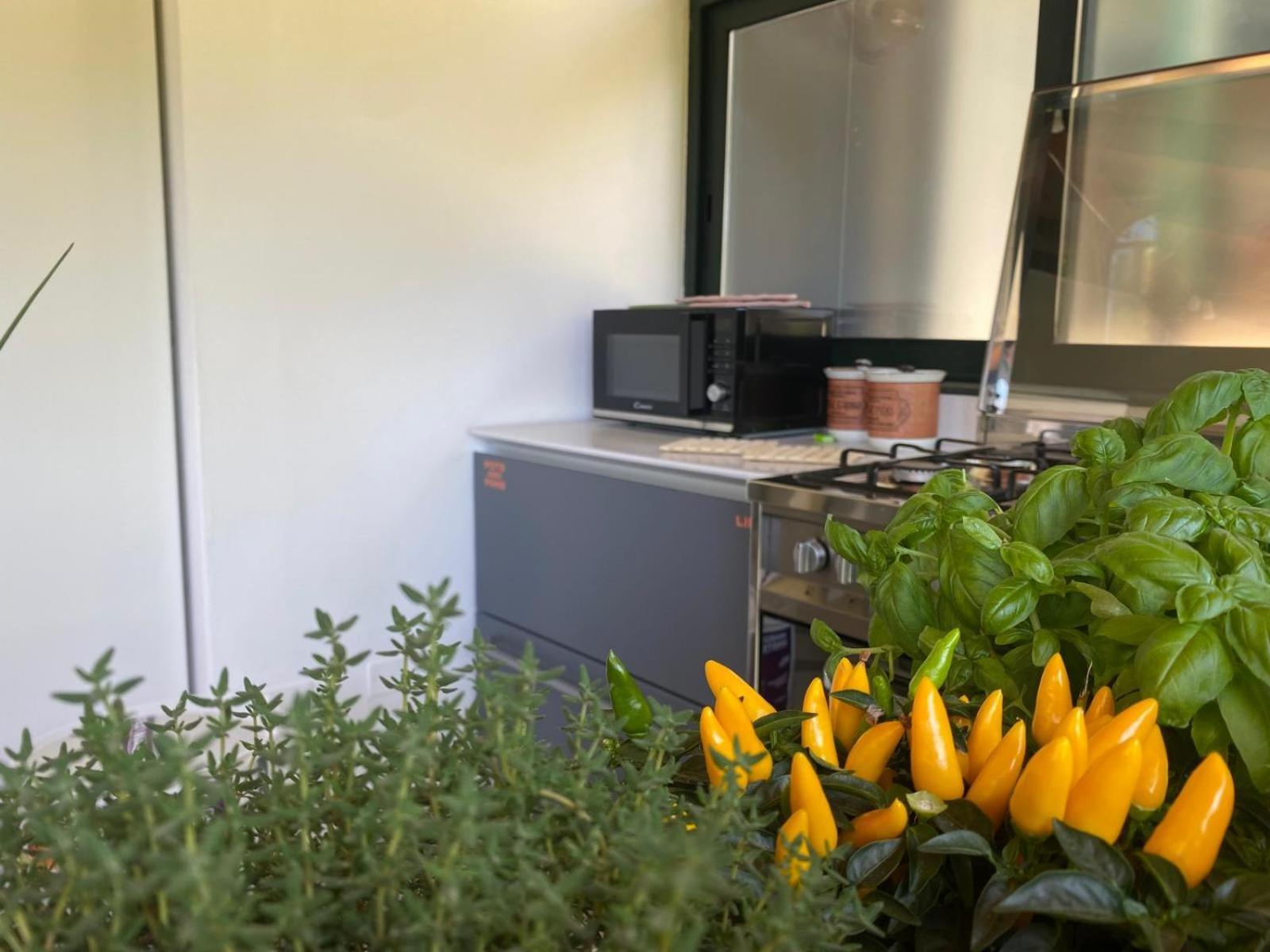 Versilia - Pietrasanta - Le Colmate Guesthouse Tonfano Esterno foto